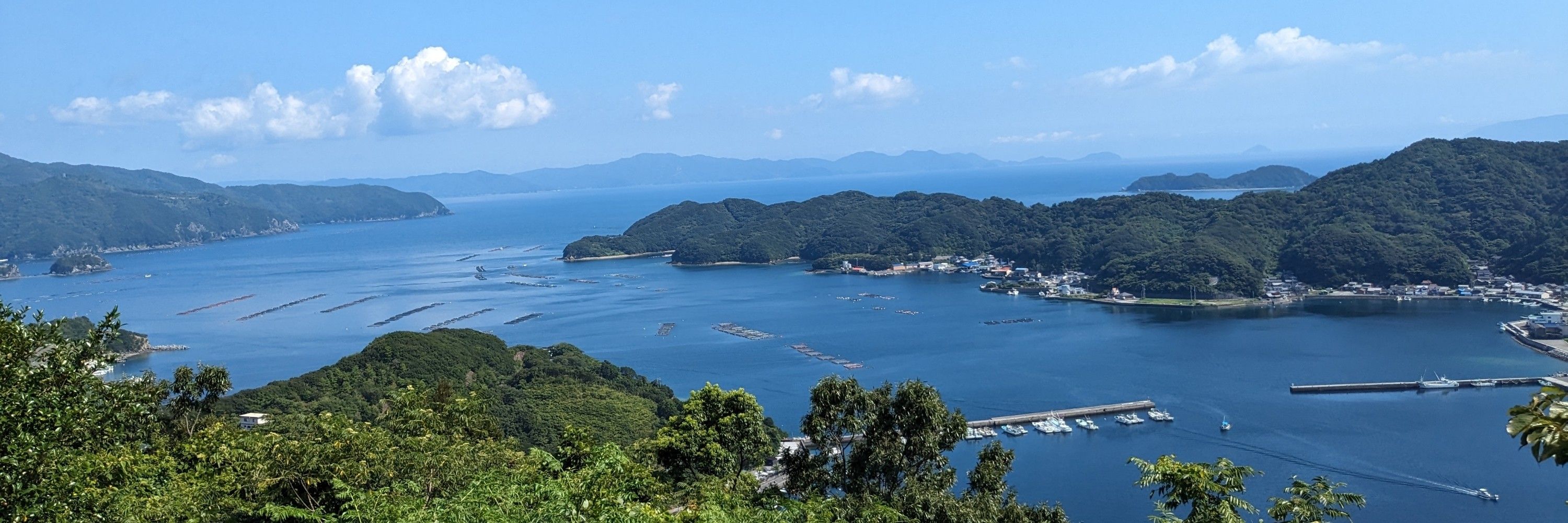 えごま