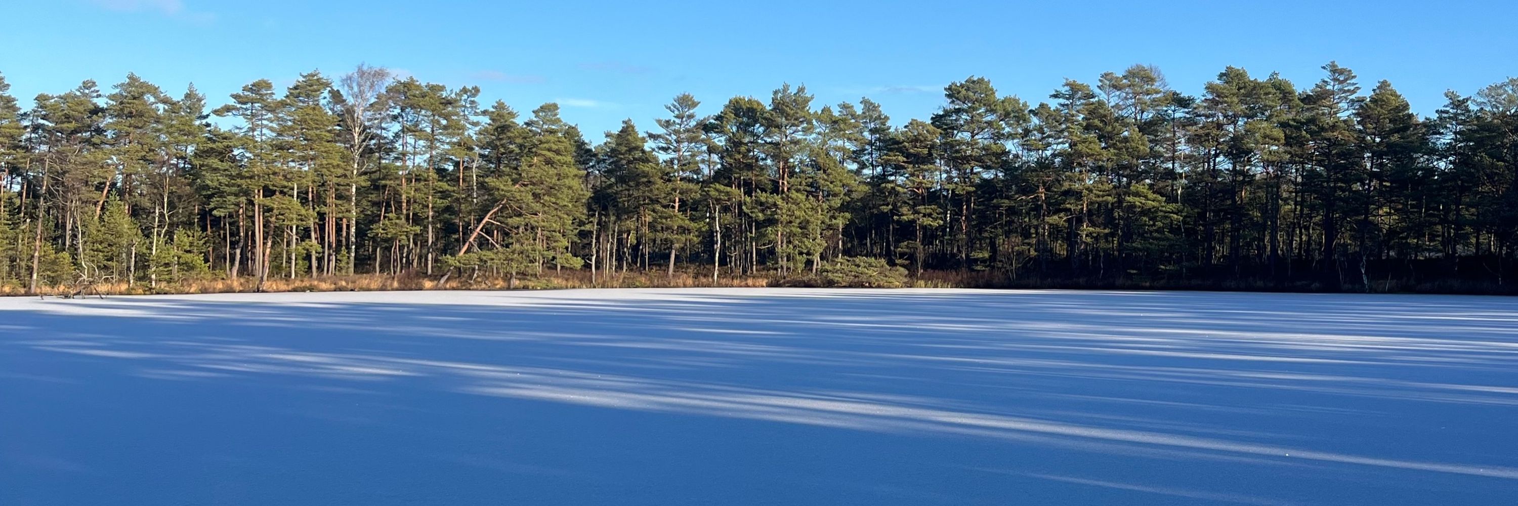 Nordic Wellbeing Academy
