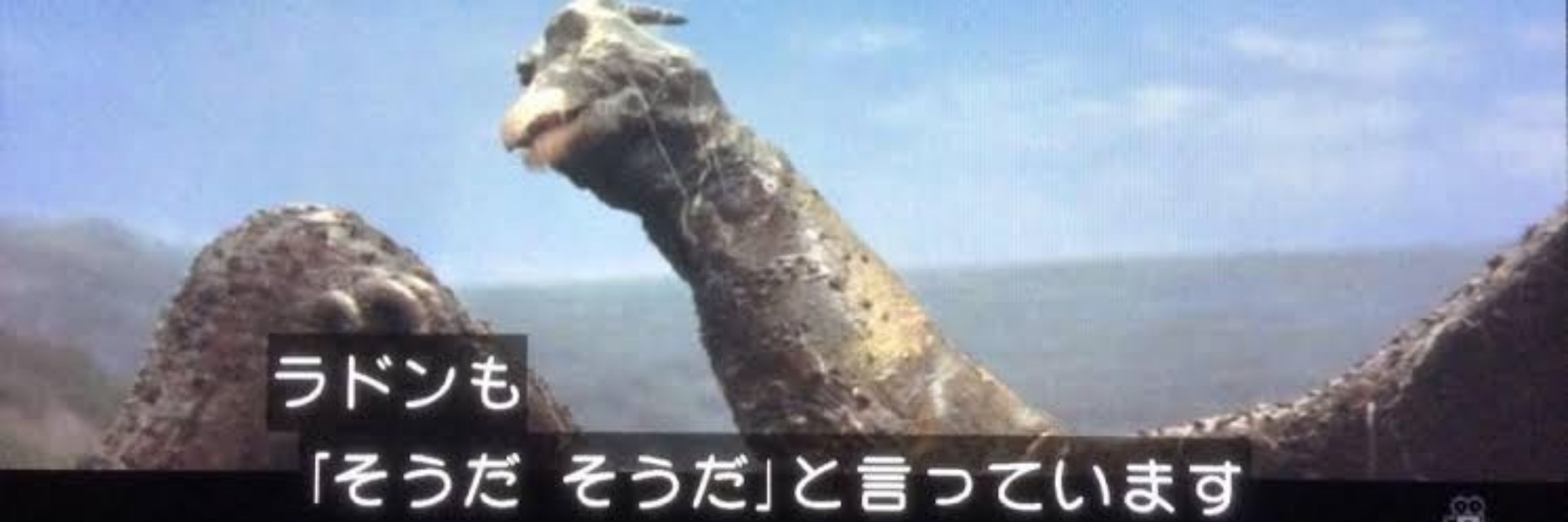 しらぬい