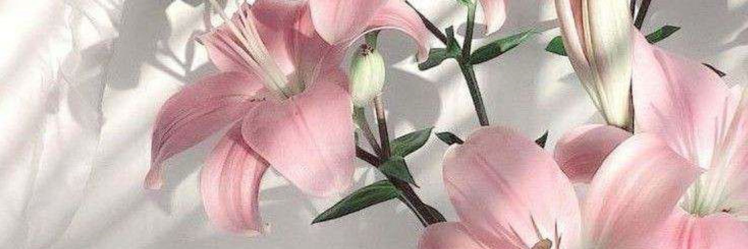 lilithkity