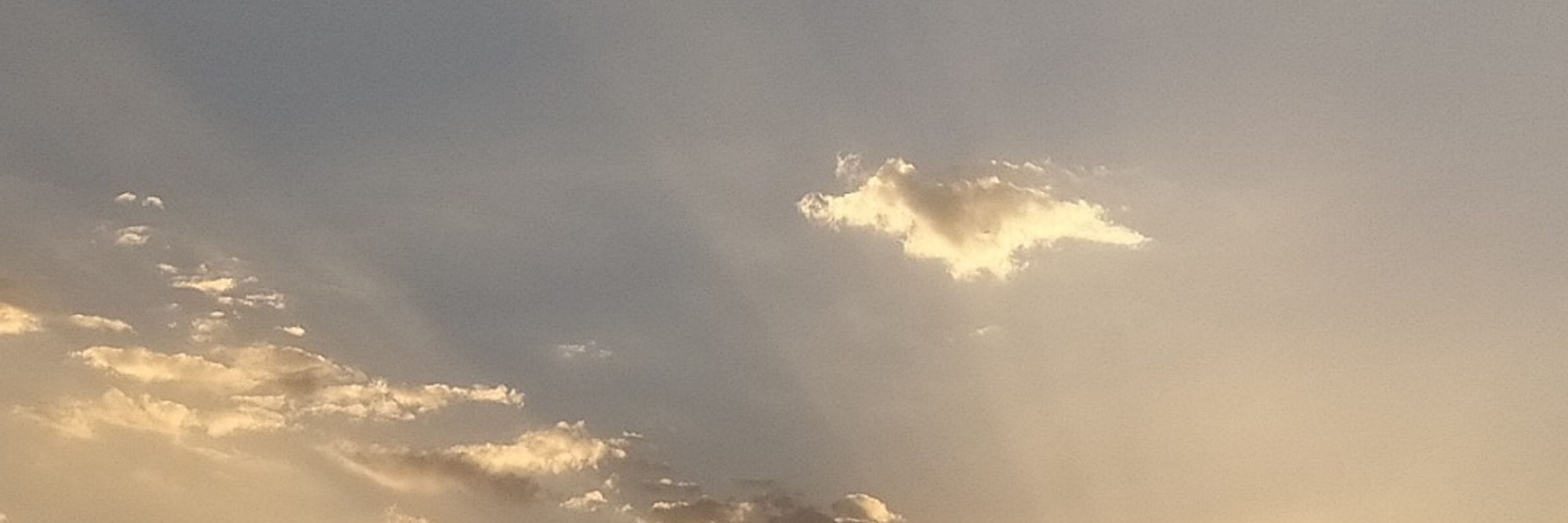· 𝐂