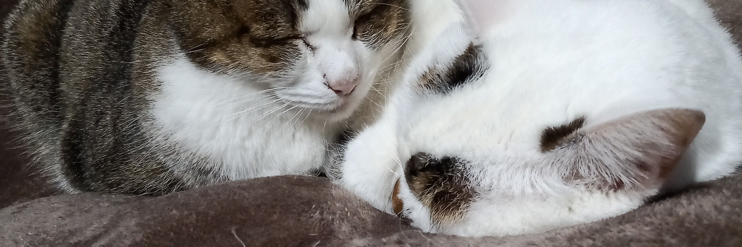仕事
