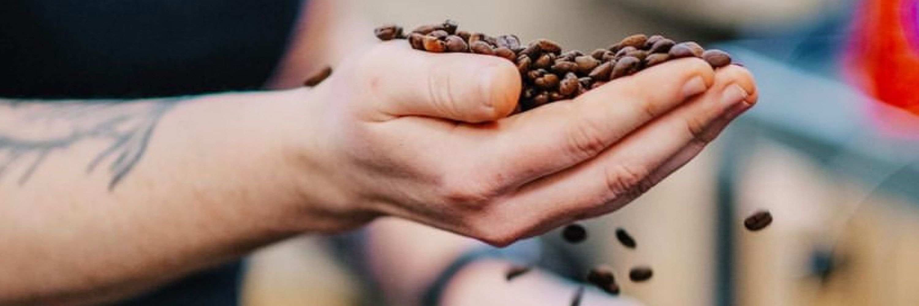 Whimsy Coffee Roasting Co