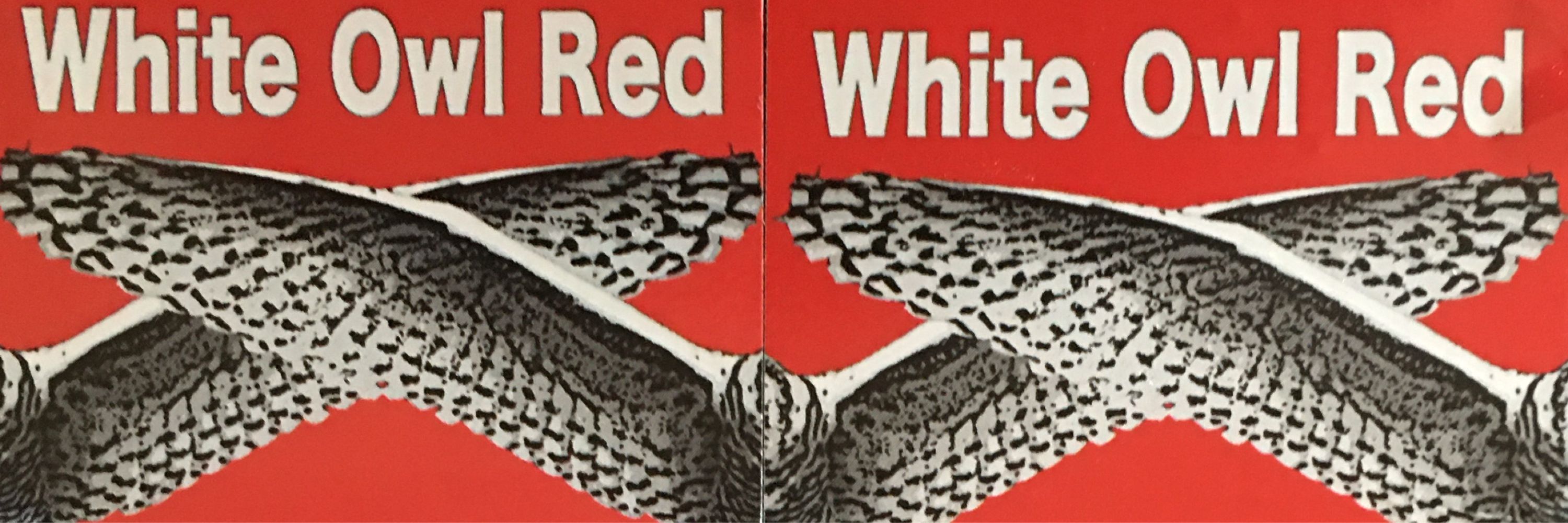 White Owl Red