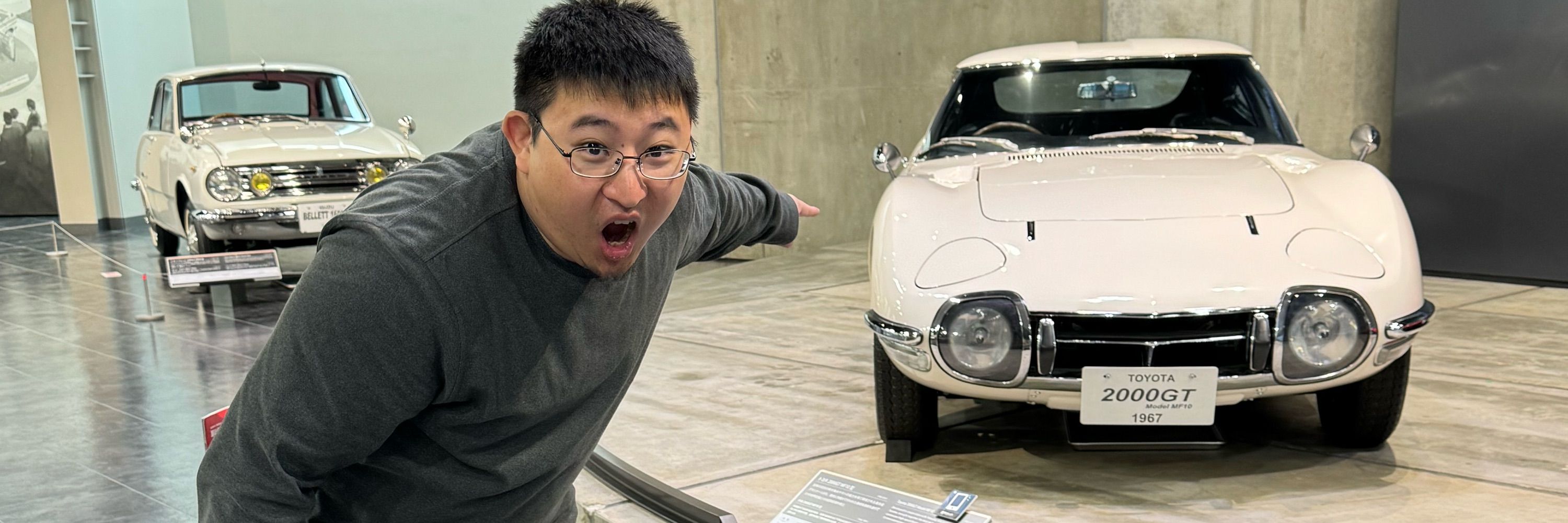 泰迪