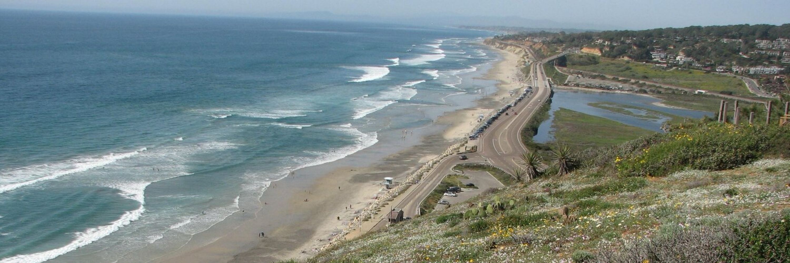 cocoinca