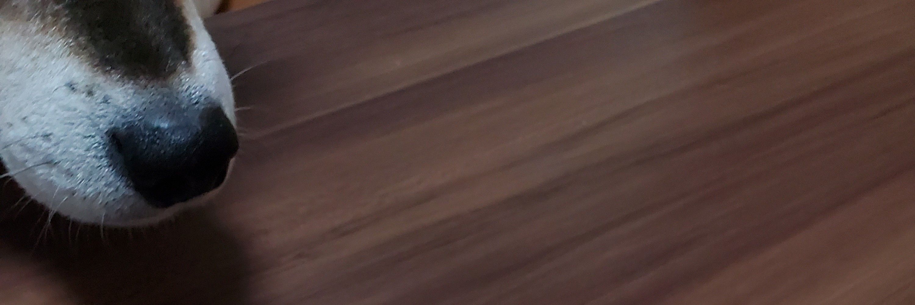 小栗