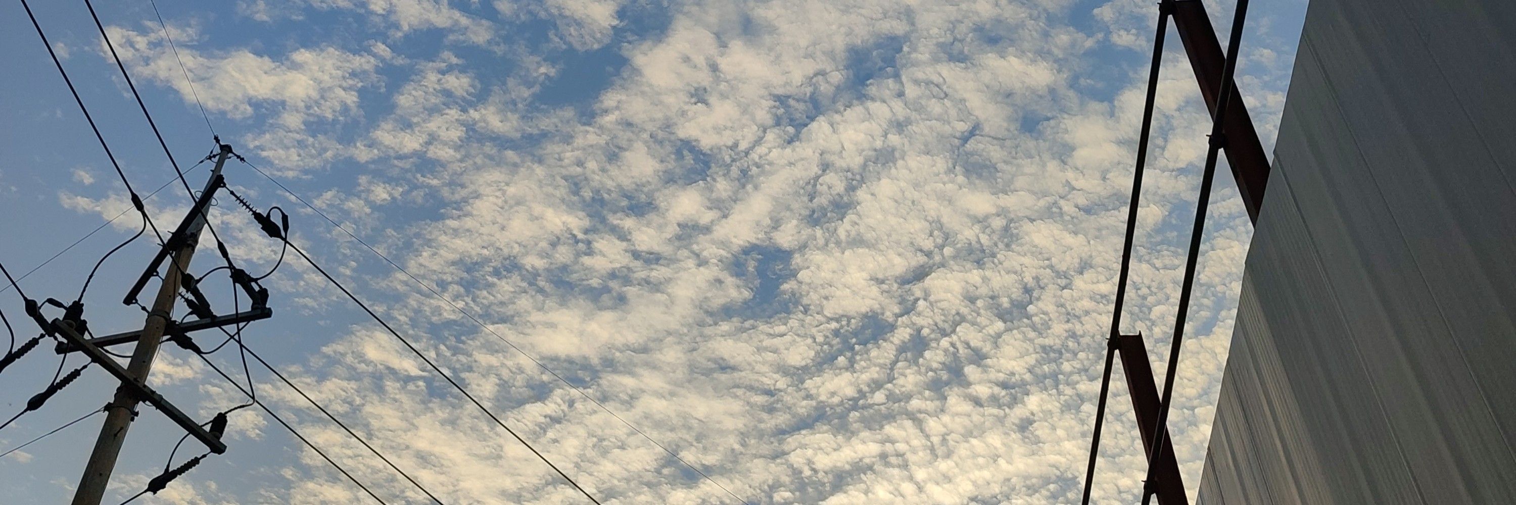 달빛