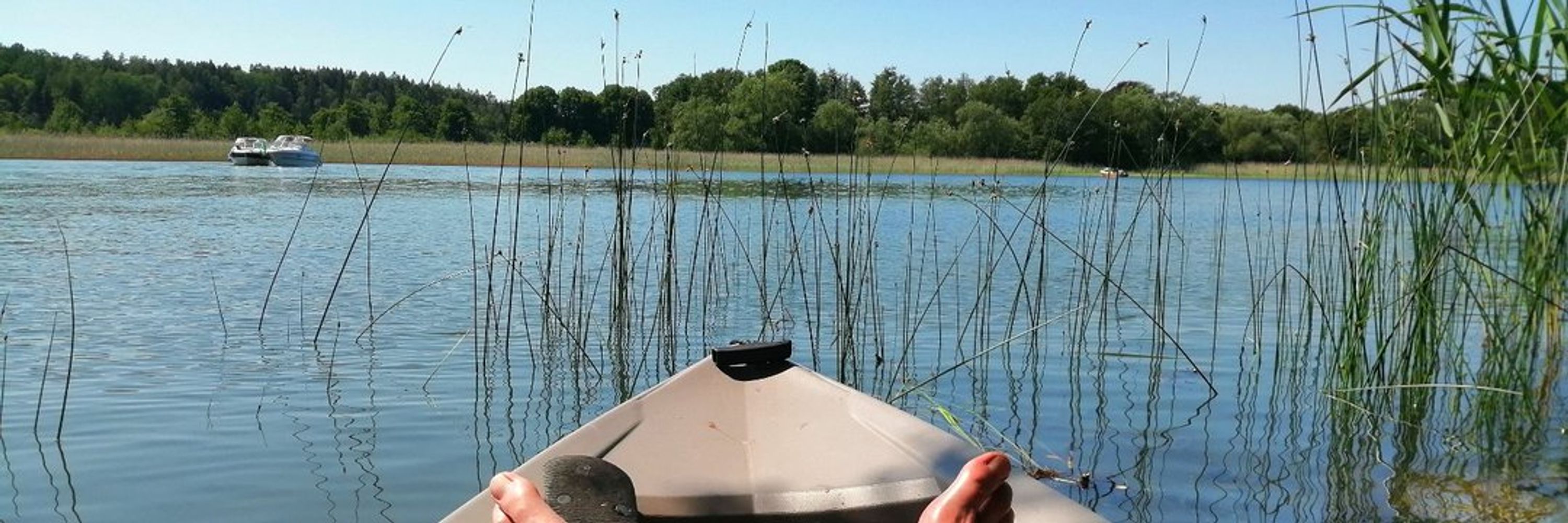Pan Flex