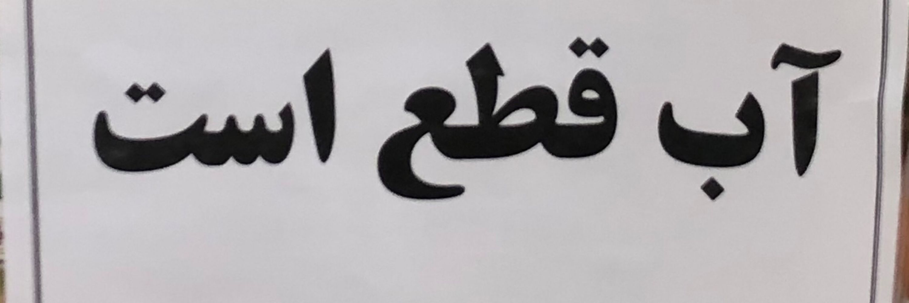 امیررضا