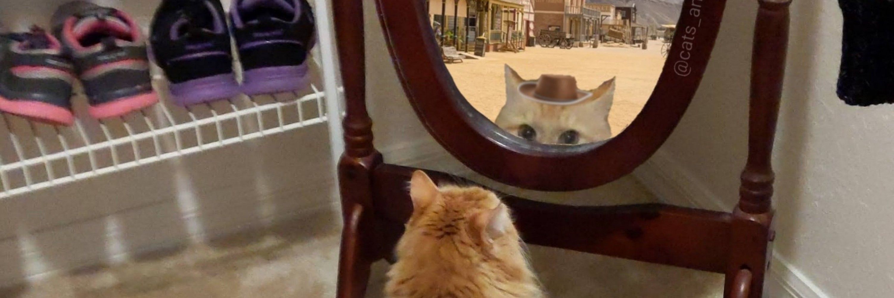Ed