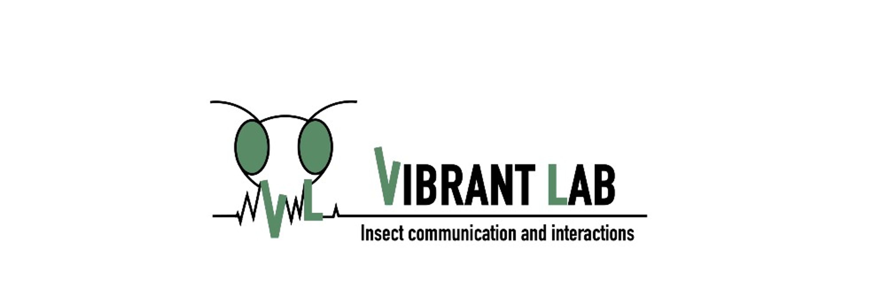 Vibrant Lab