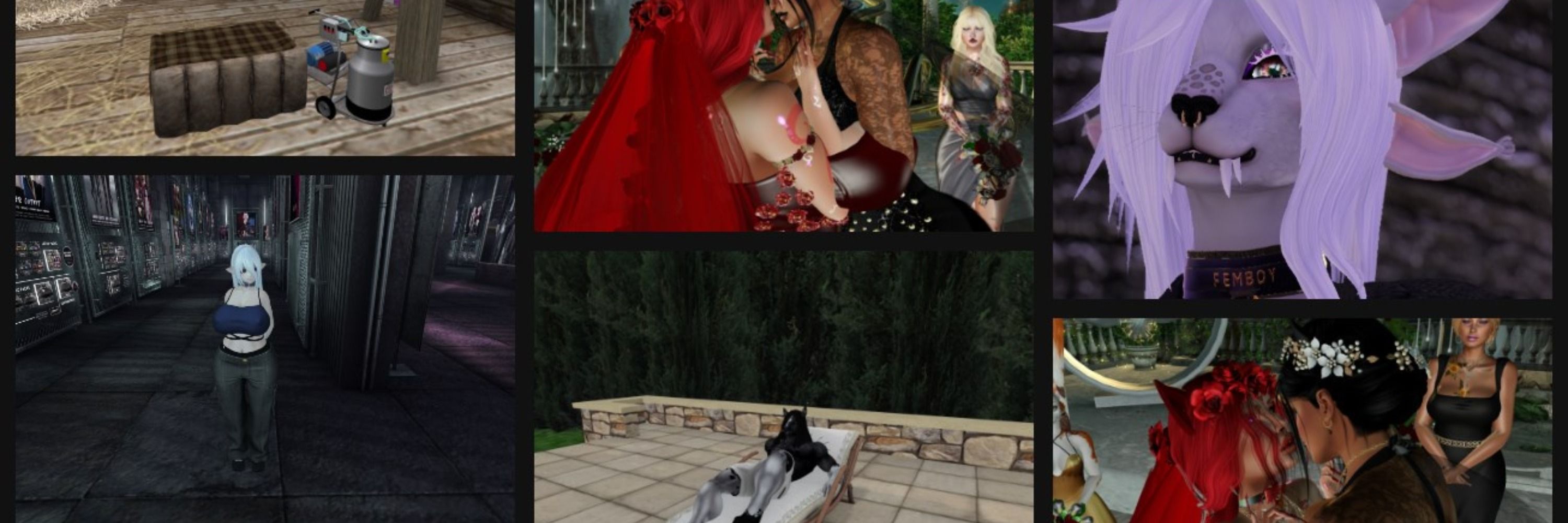 Prim Network