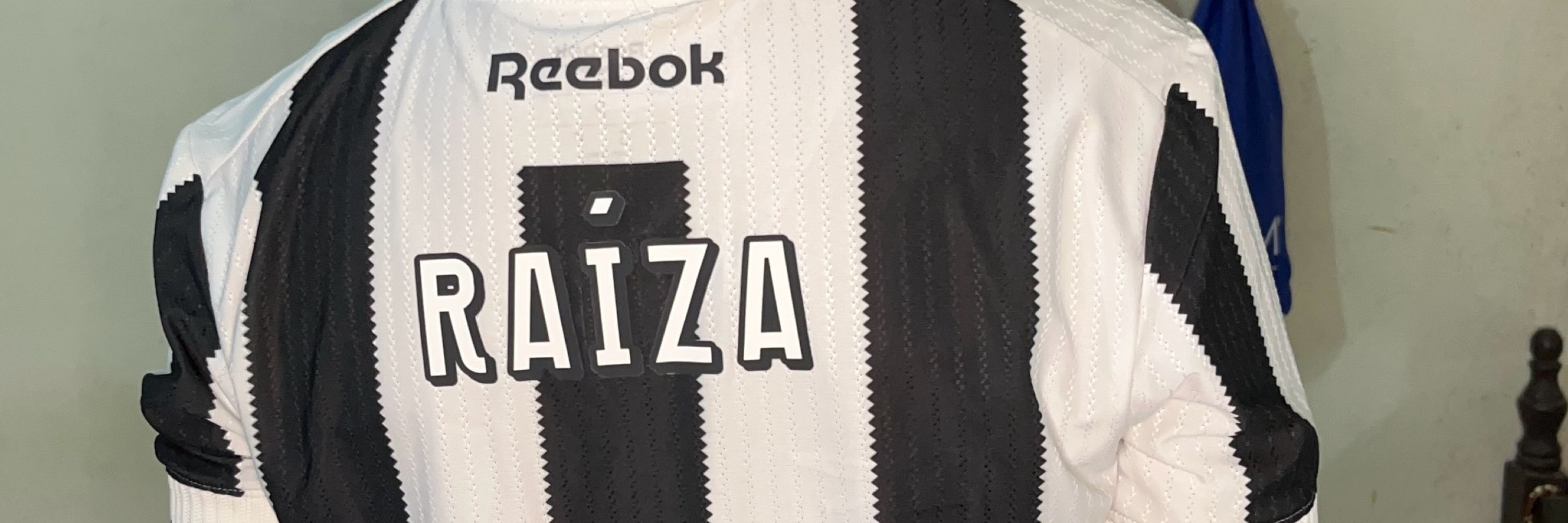 Raíza ★彡