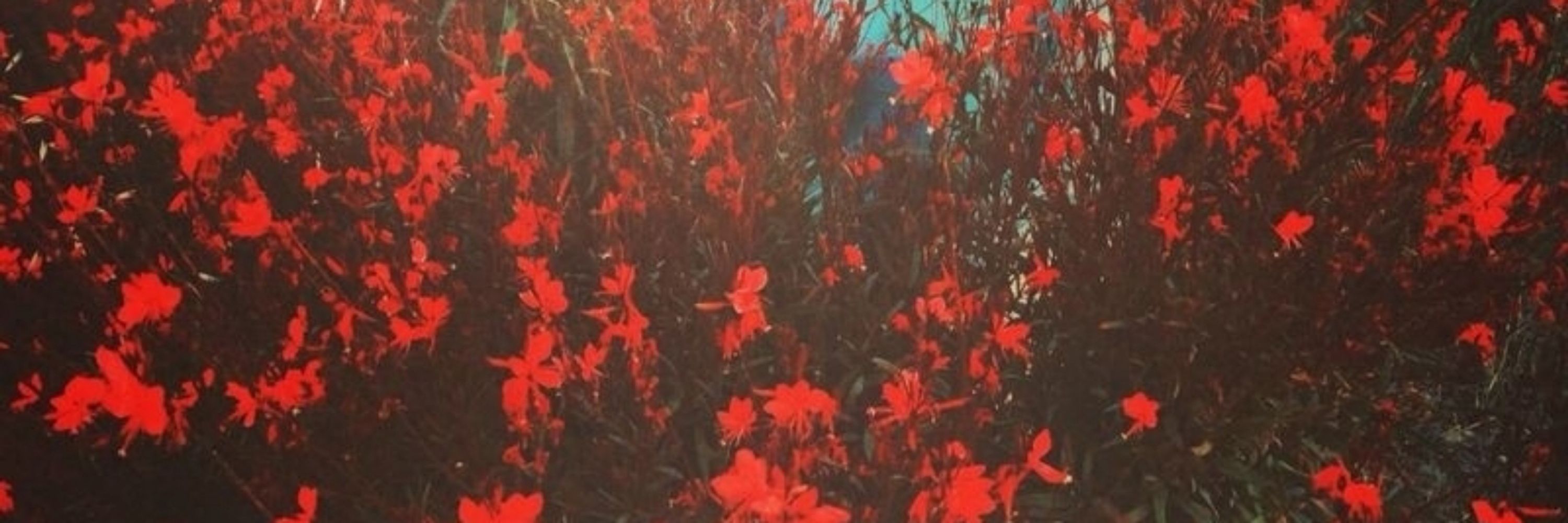 Niceseptember
