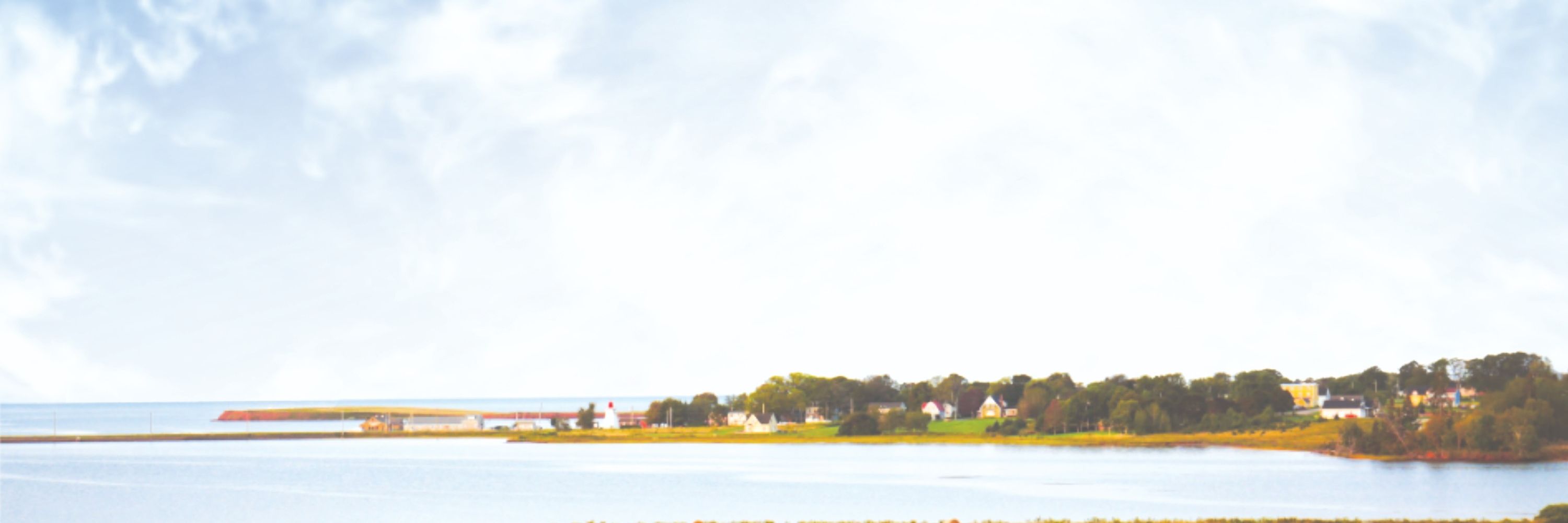 NDP PEI