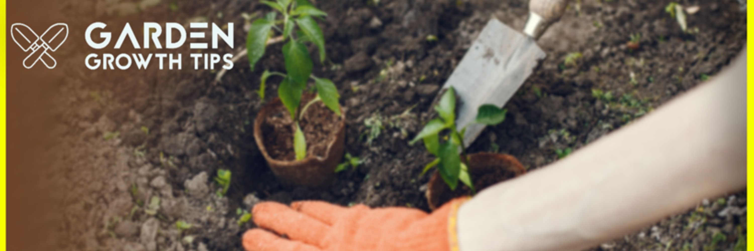Garden growth tips 