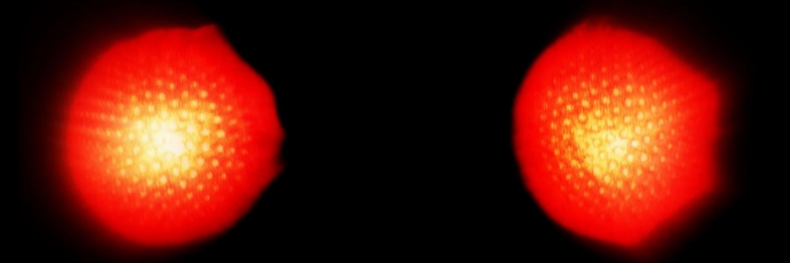 MothManMike