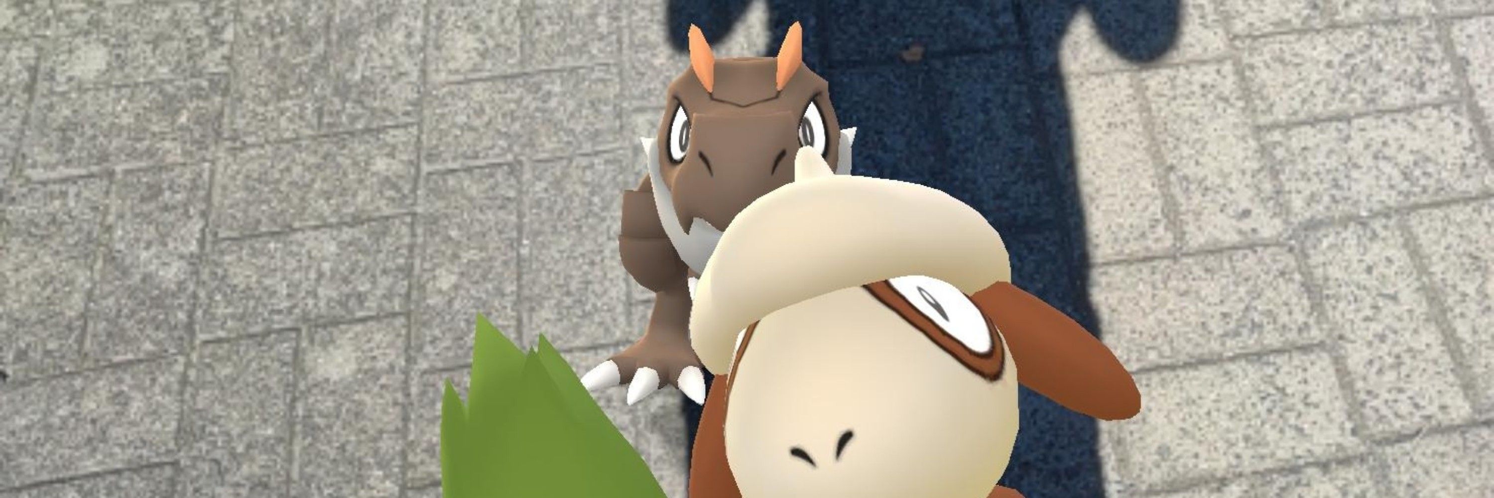 Pokéxander Bort