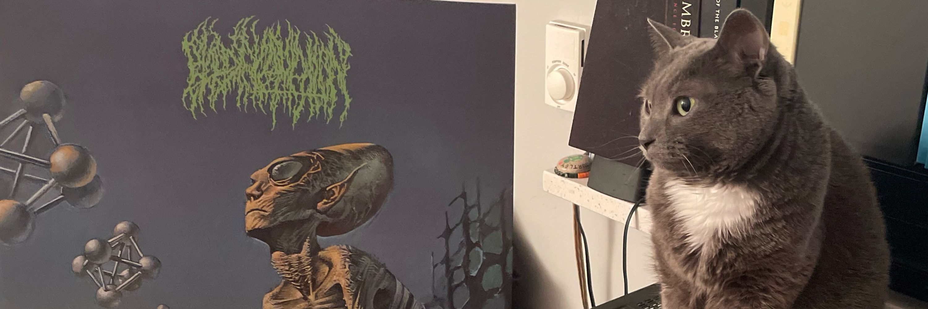 funk artgarfel