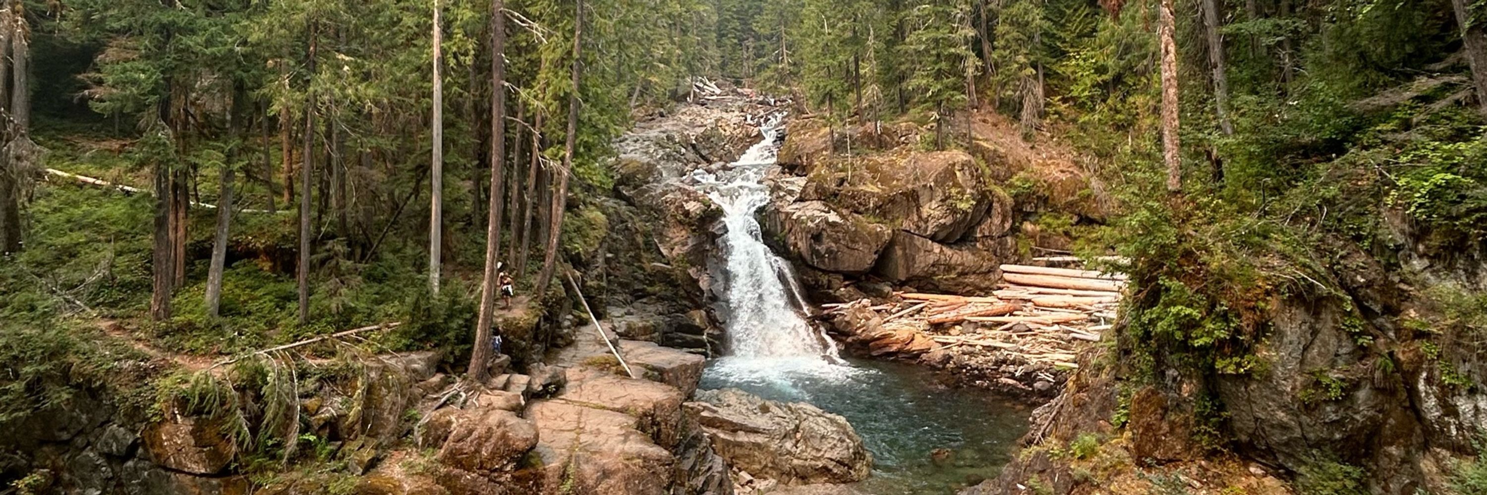 Sierra Wellness