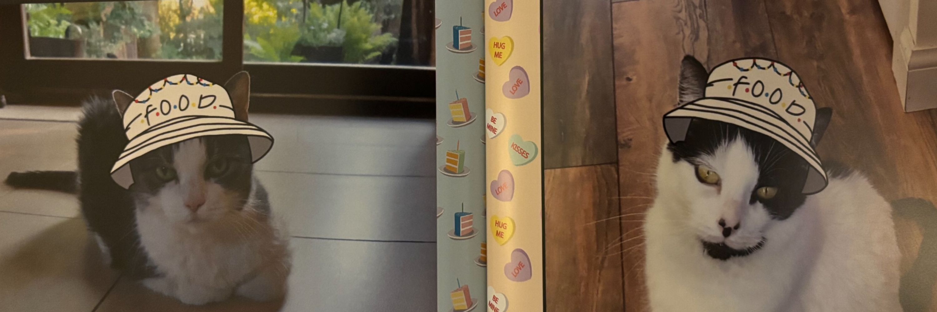 Peekoll and Fimbley