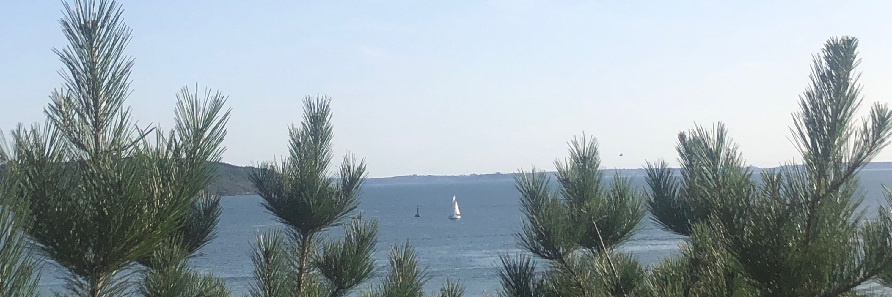 La fille de Brest