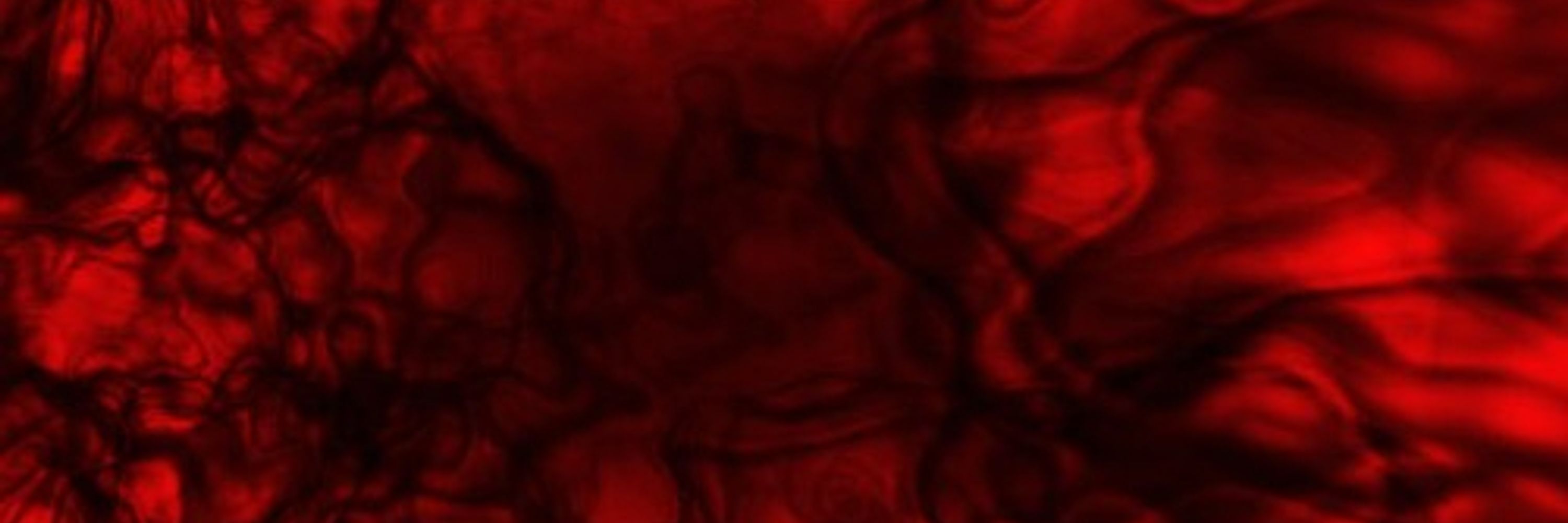 LuciferRexMundi
