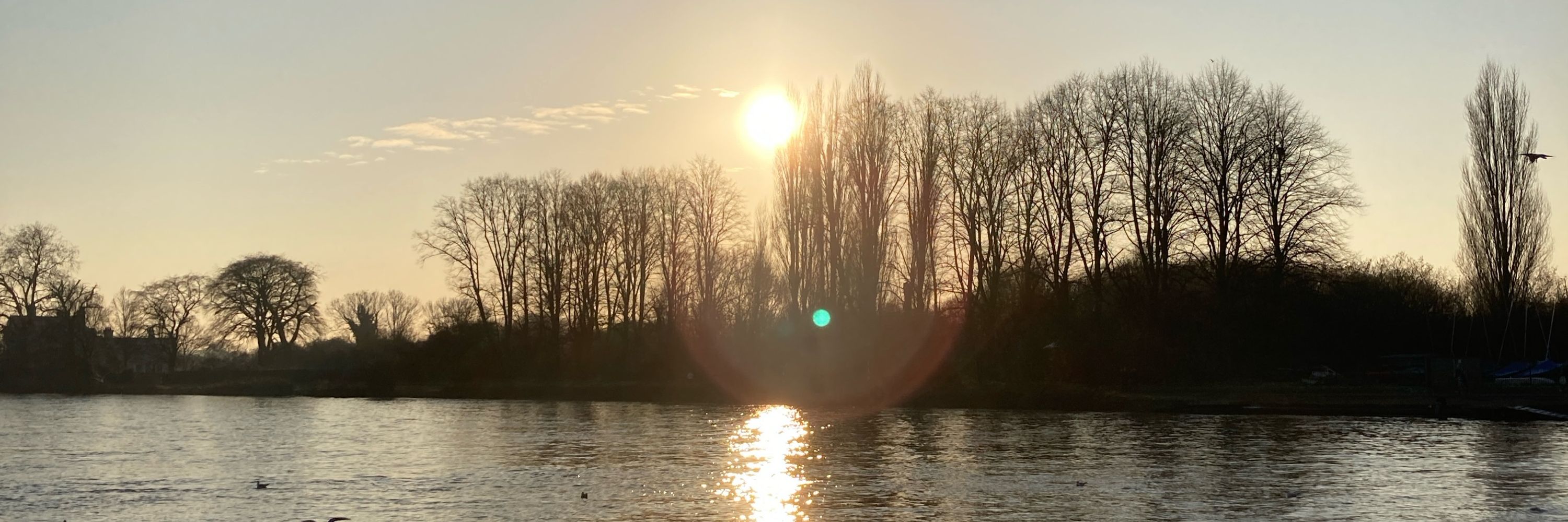 Penis on Thames