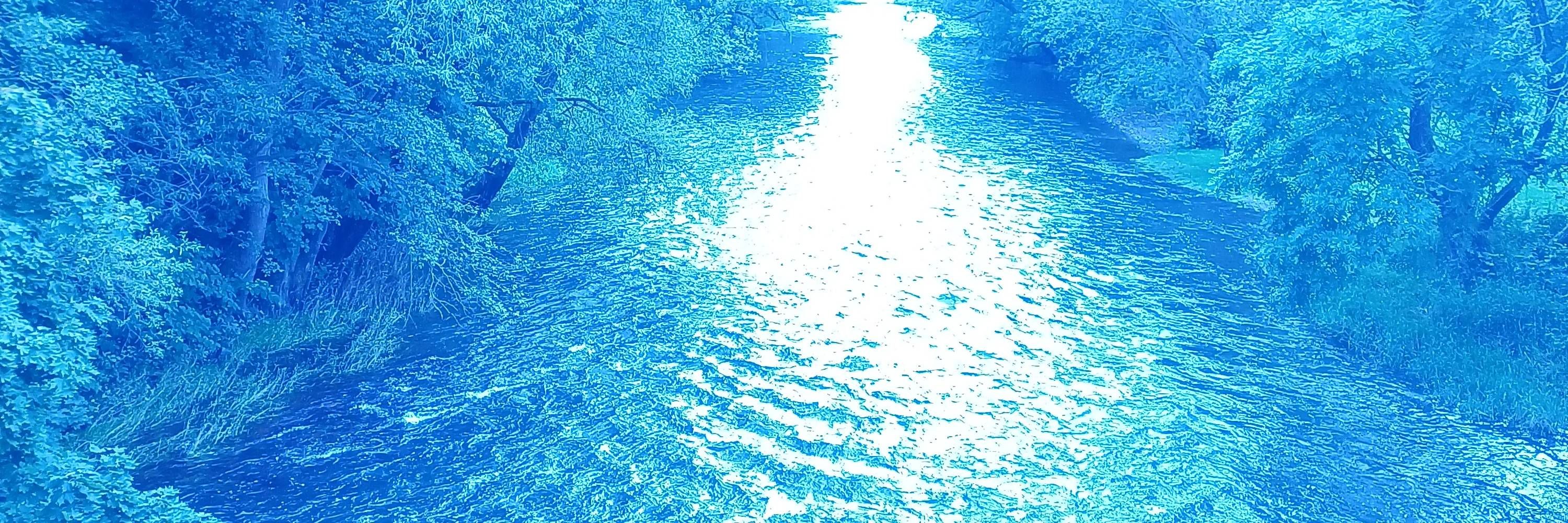 Svecica