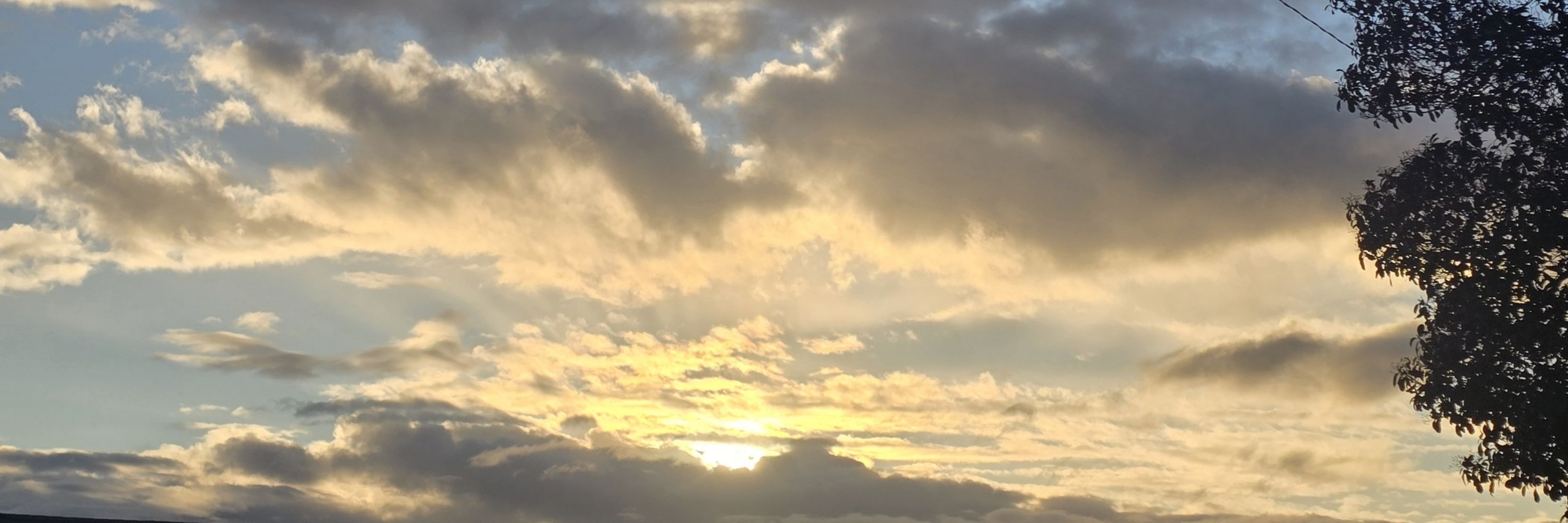 TheBeautifulPNW