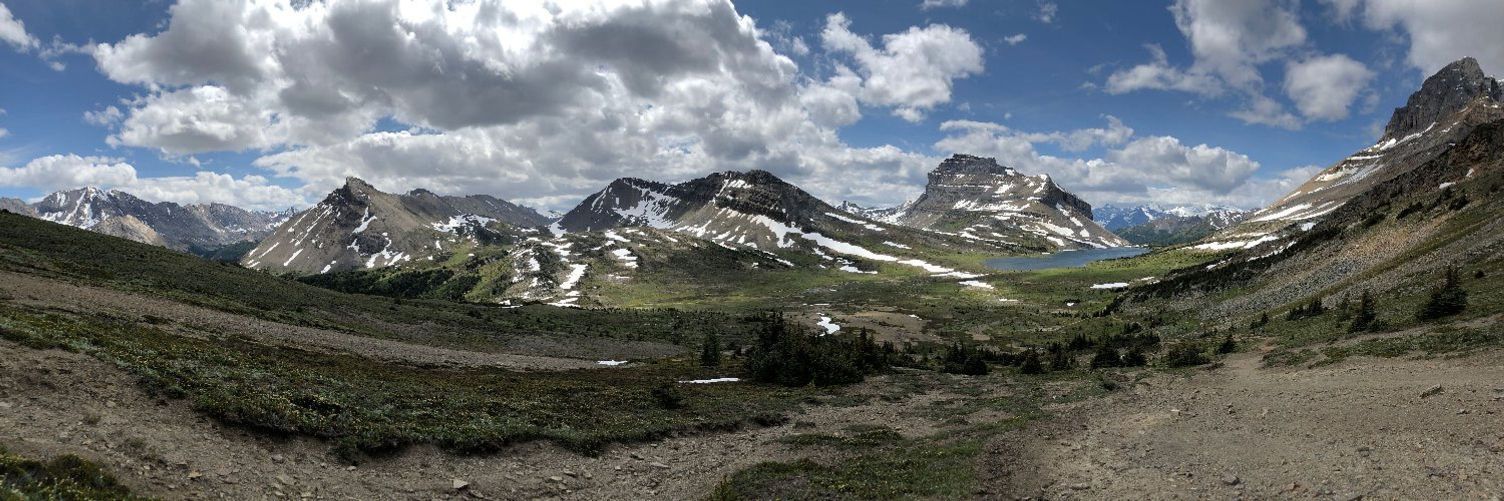 CAPE Alberta