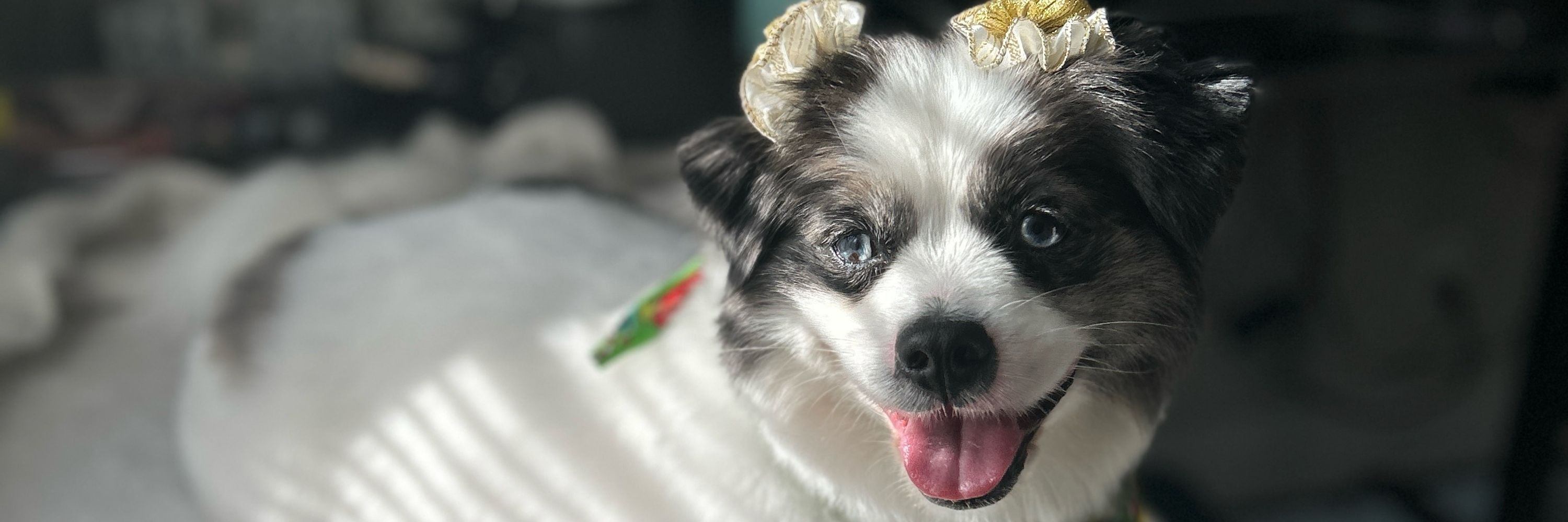 Kali.