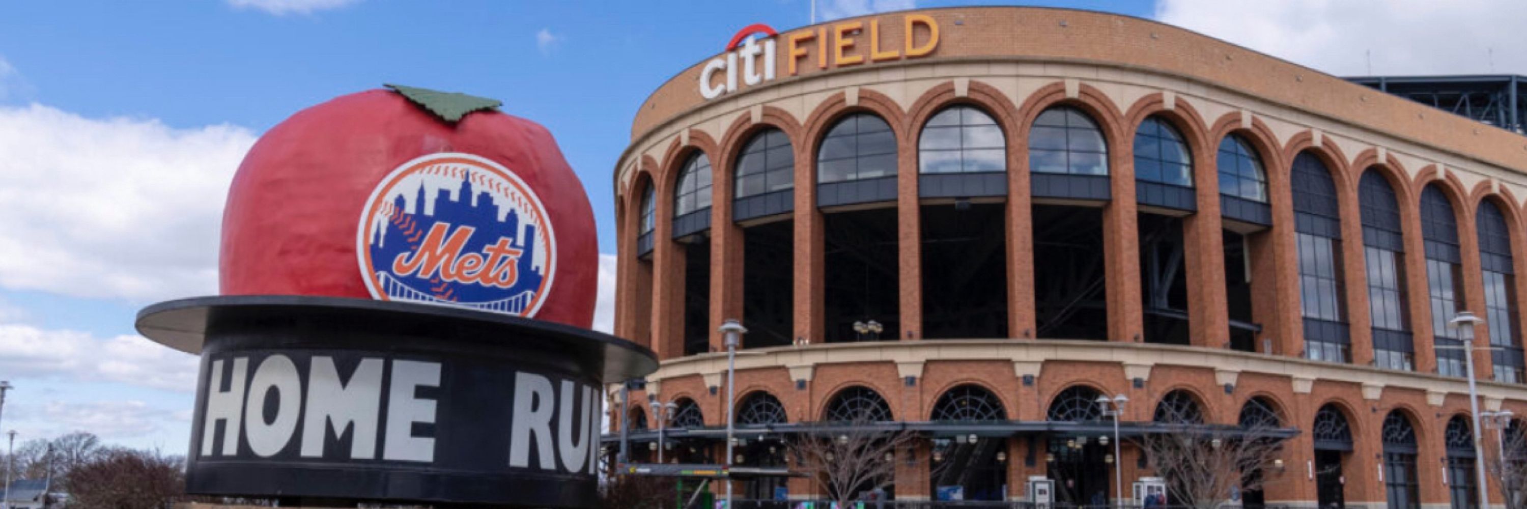 Big Mets Fan