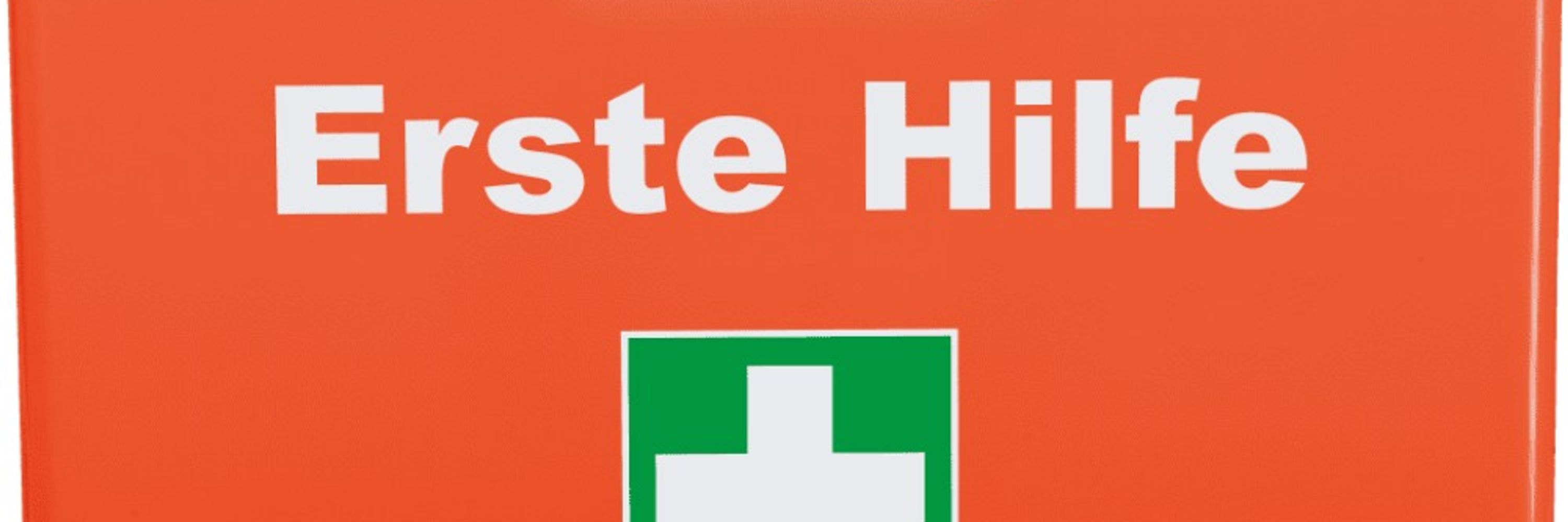 Rheiner Schweiß (Brudi von Axel Schweiß)📯
