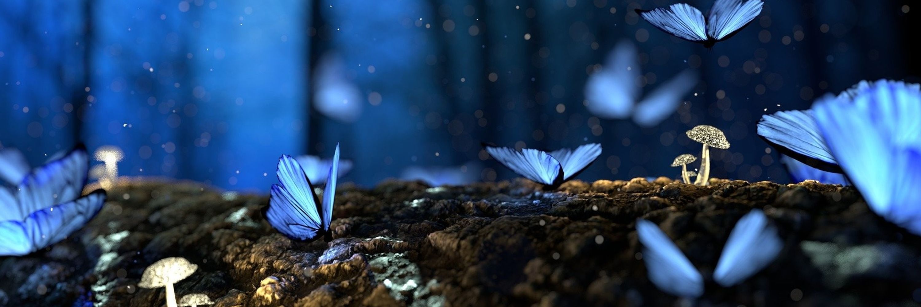𝓜𝓸𝓻𝓹𝓱𝓸🦋