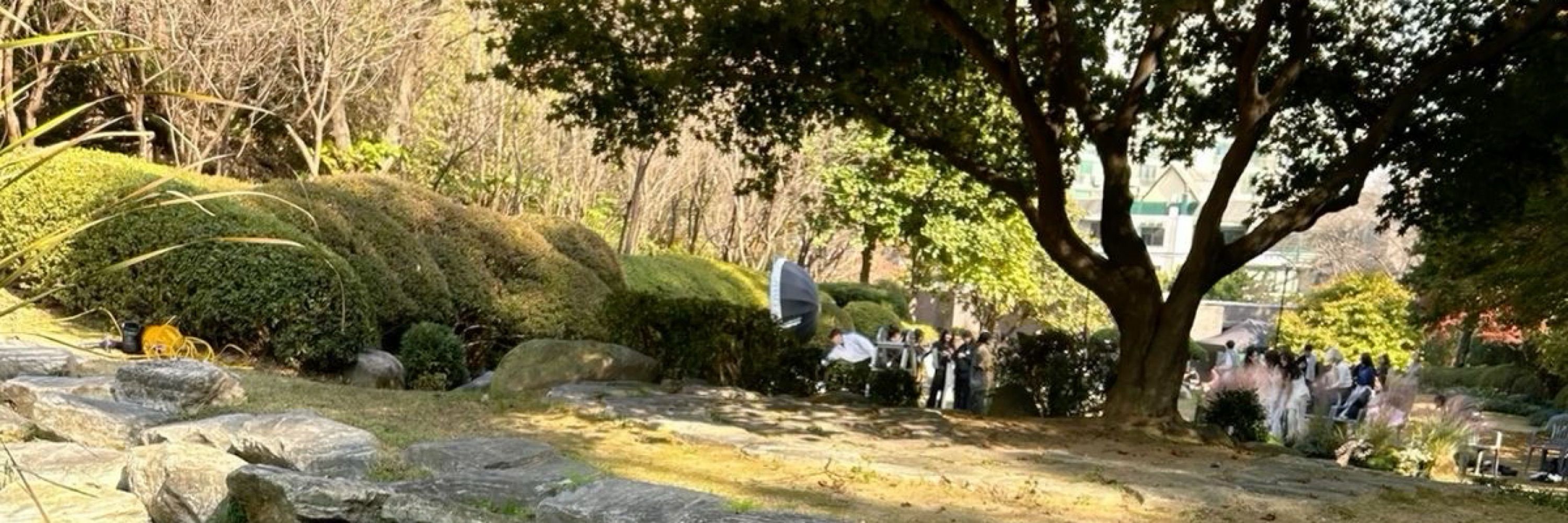 제뷰🪽