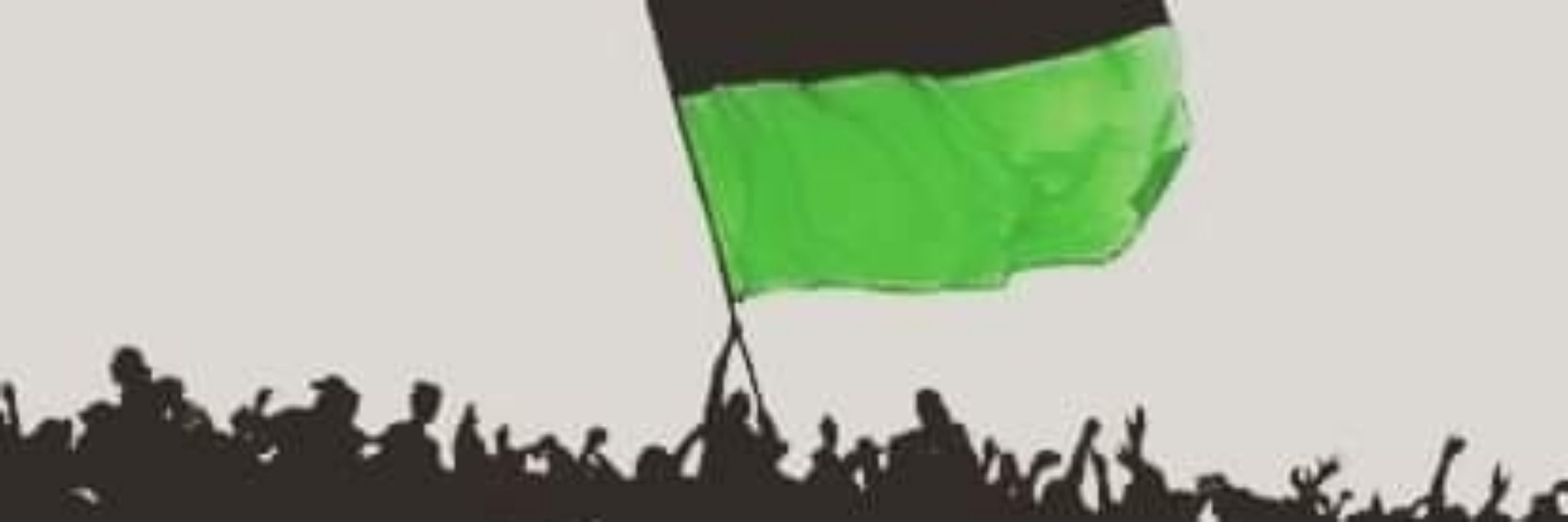 S'serox 🇵🇸🏴󠁧󠁢󠁳󠁣󠁴󠁿