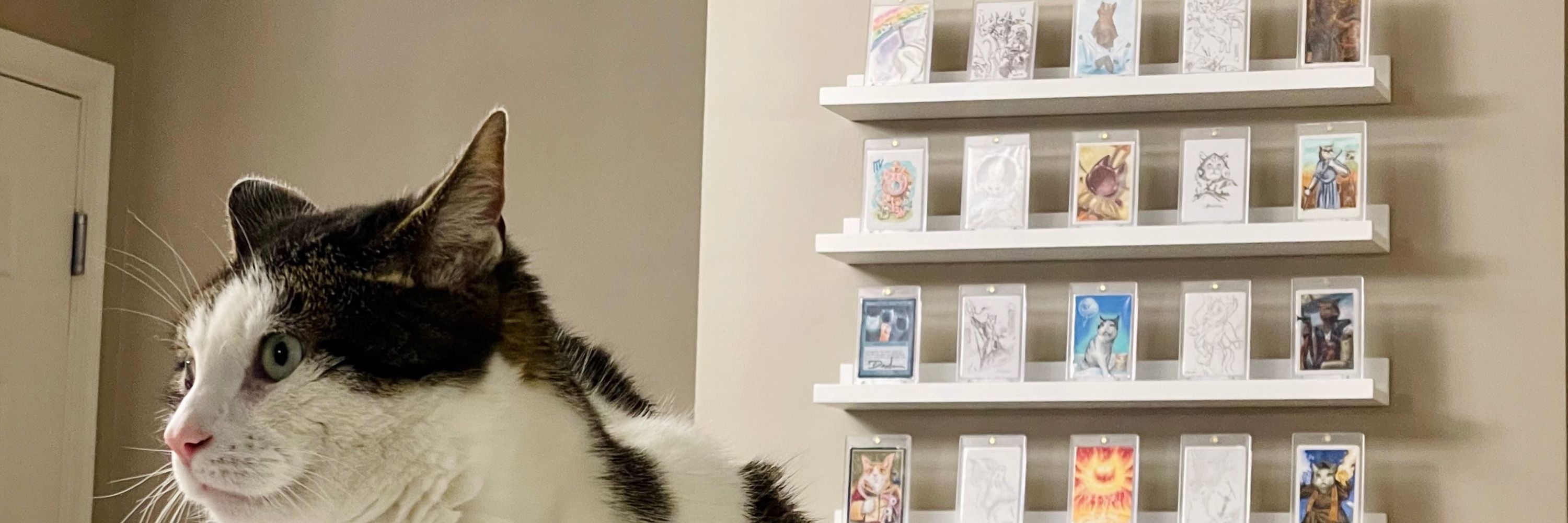 Tiffany - …but make it cat 🐱