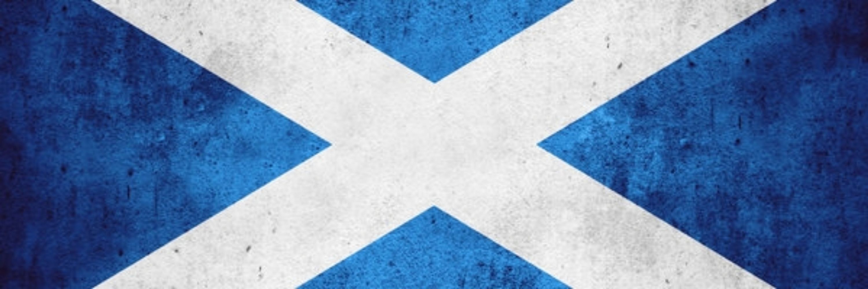 Scottish Spud 271