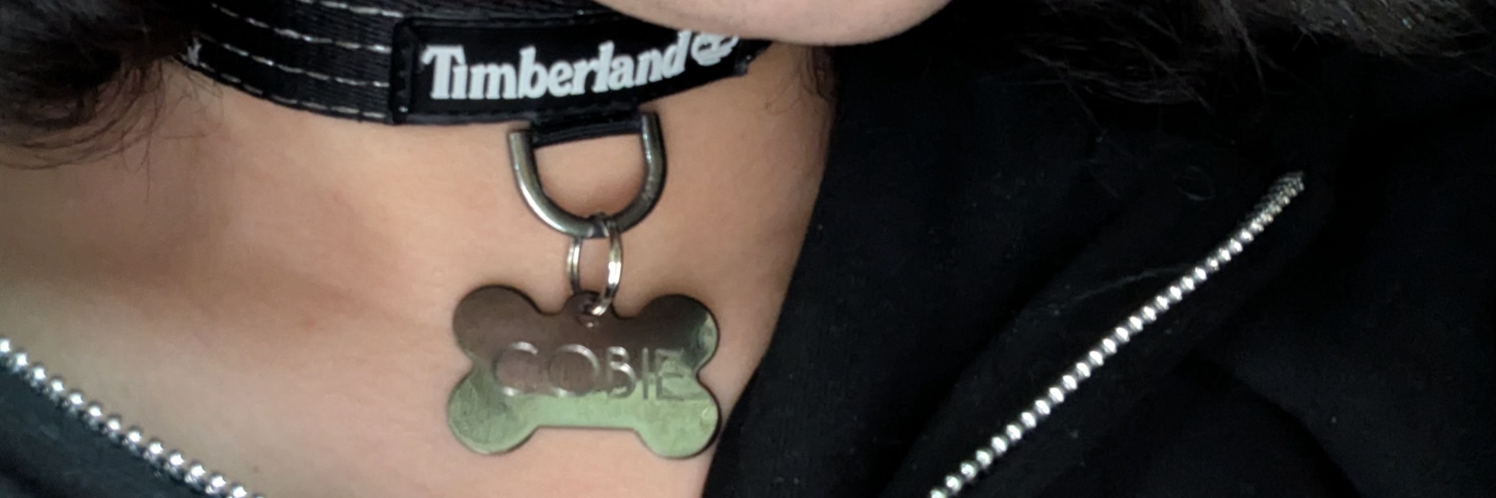 🔞 cobiebeef 🏳️‍⚧️