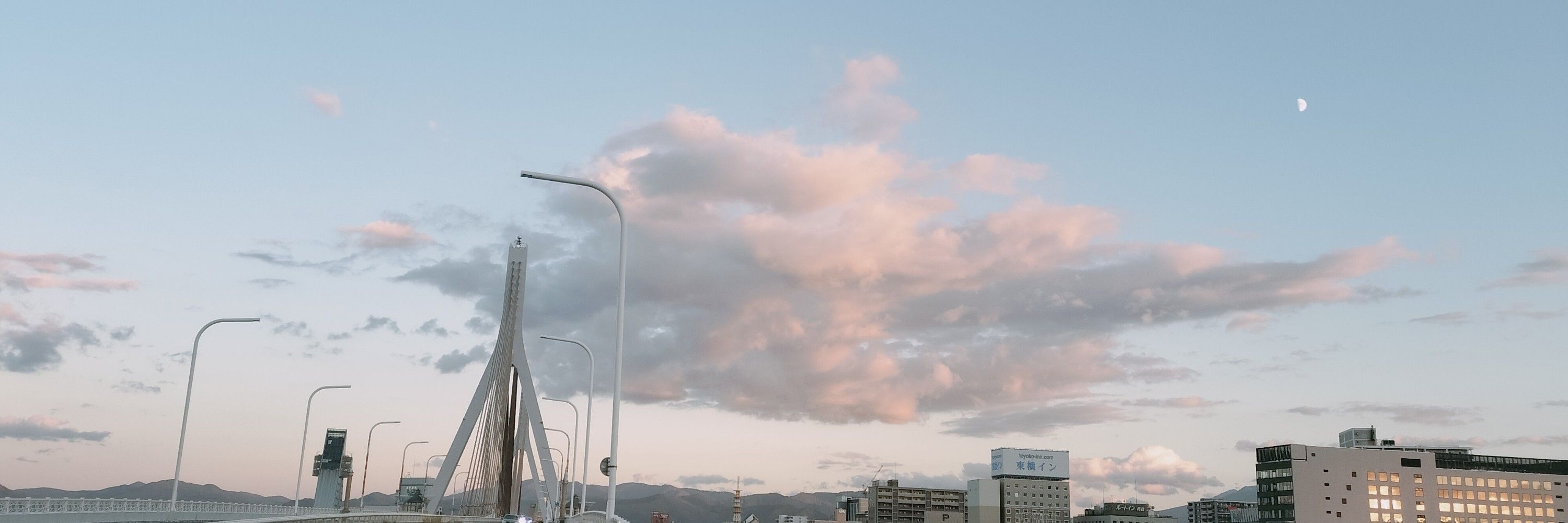 韮と鮭
