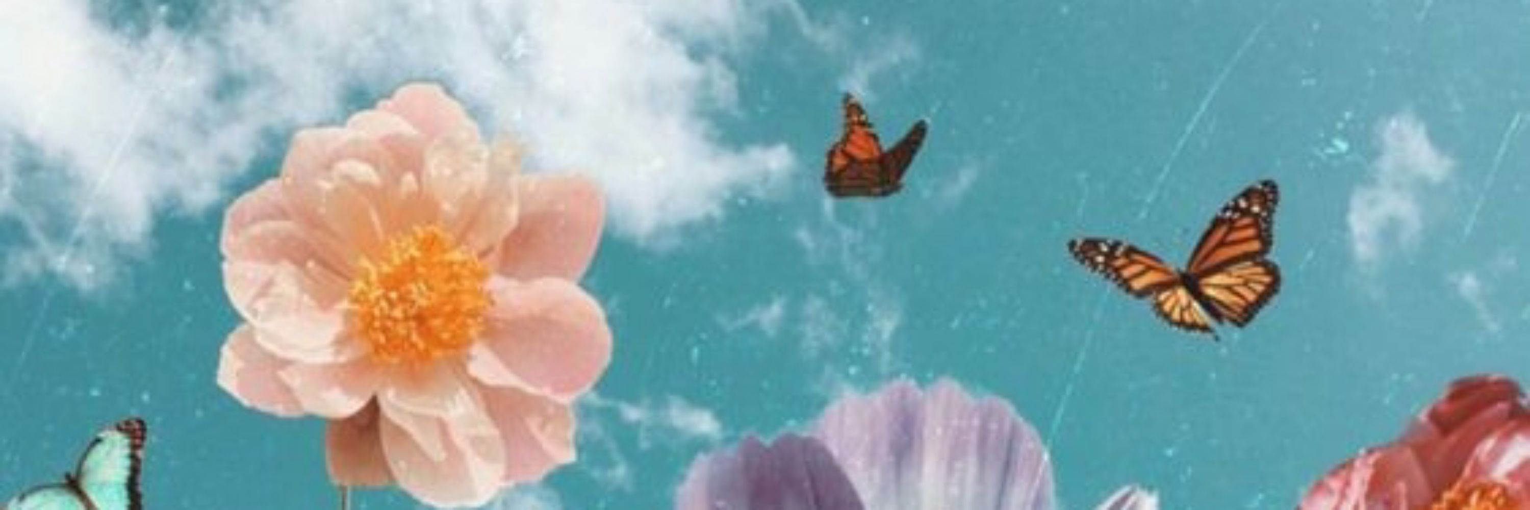 ✨🫧Mar🫧✨🦋