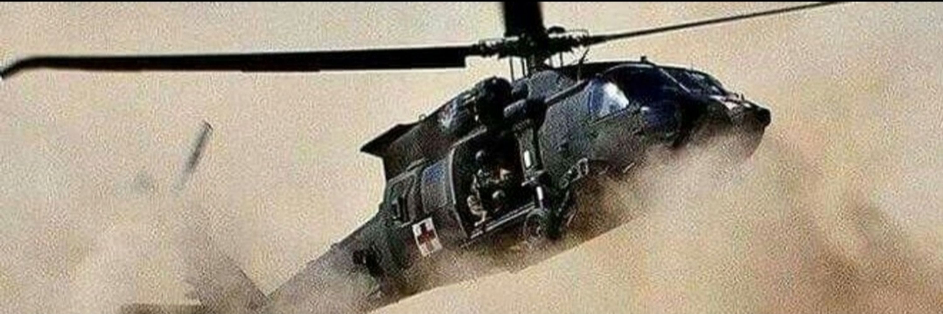 TH-60 Femhawk