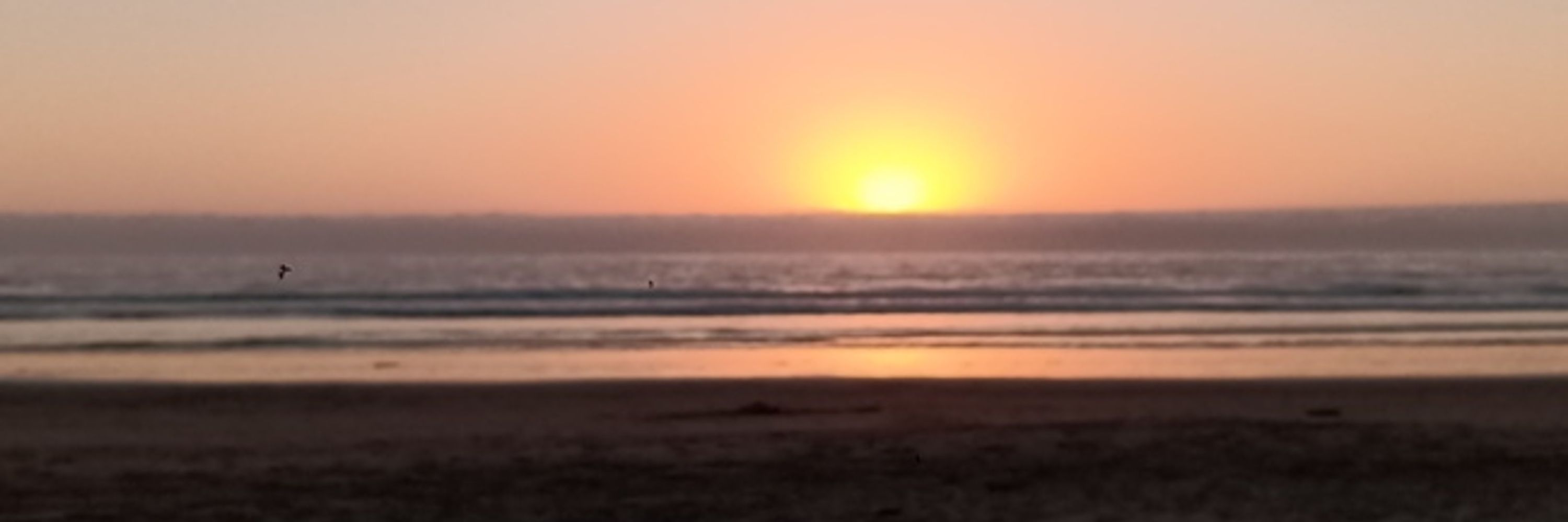 Michael Chrisco :rootaccess:
