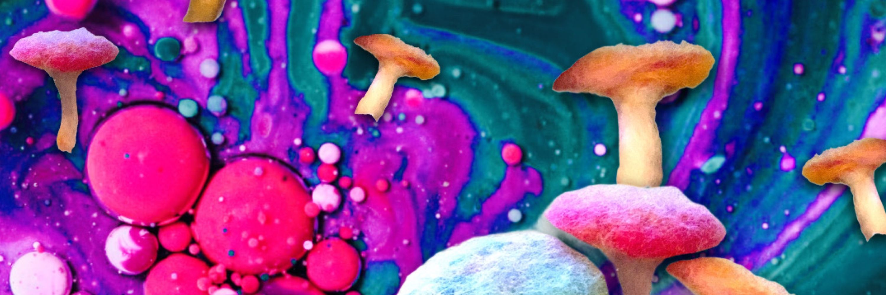 🍄🧡 gojennygo ://: Jenny Campbell 🧡🍄