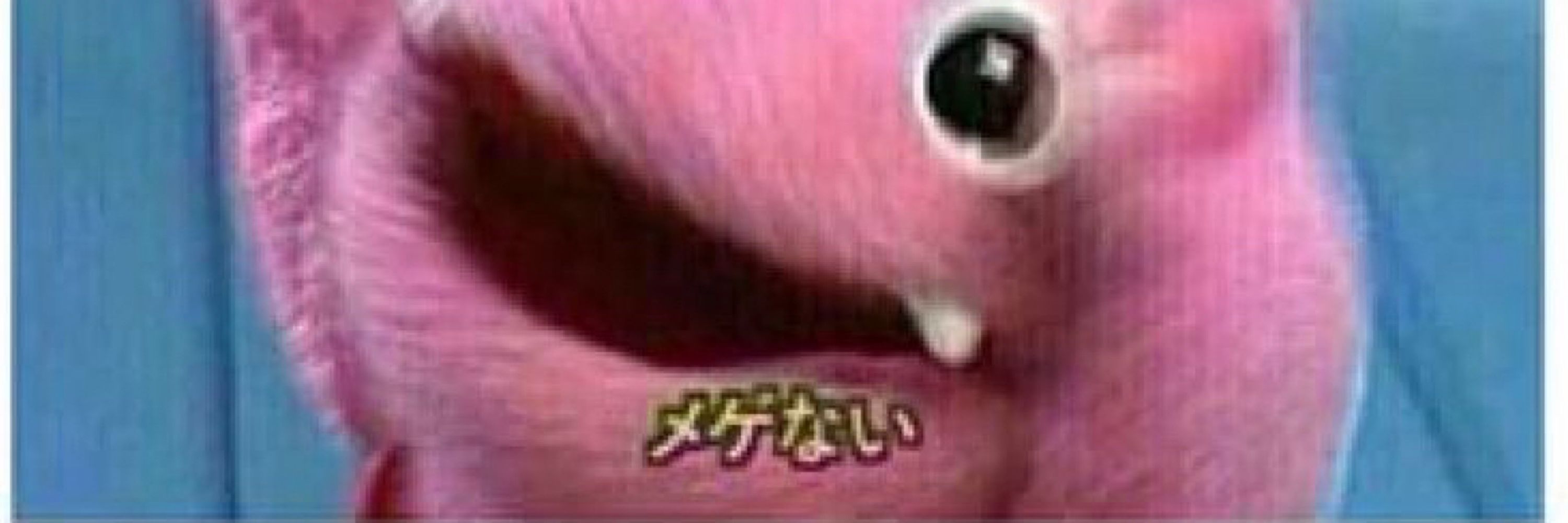 ある