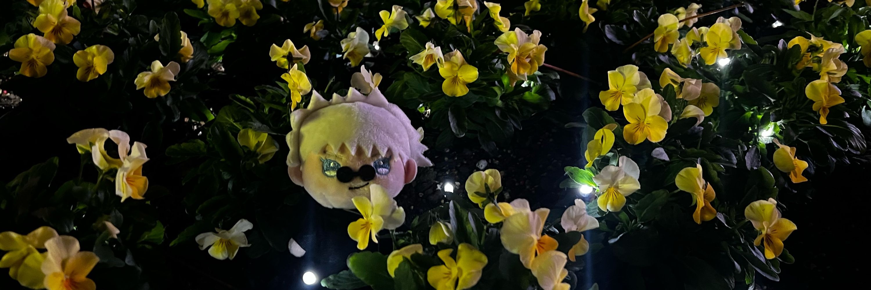 まみむめも