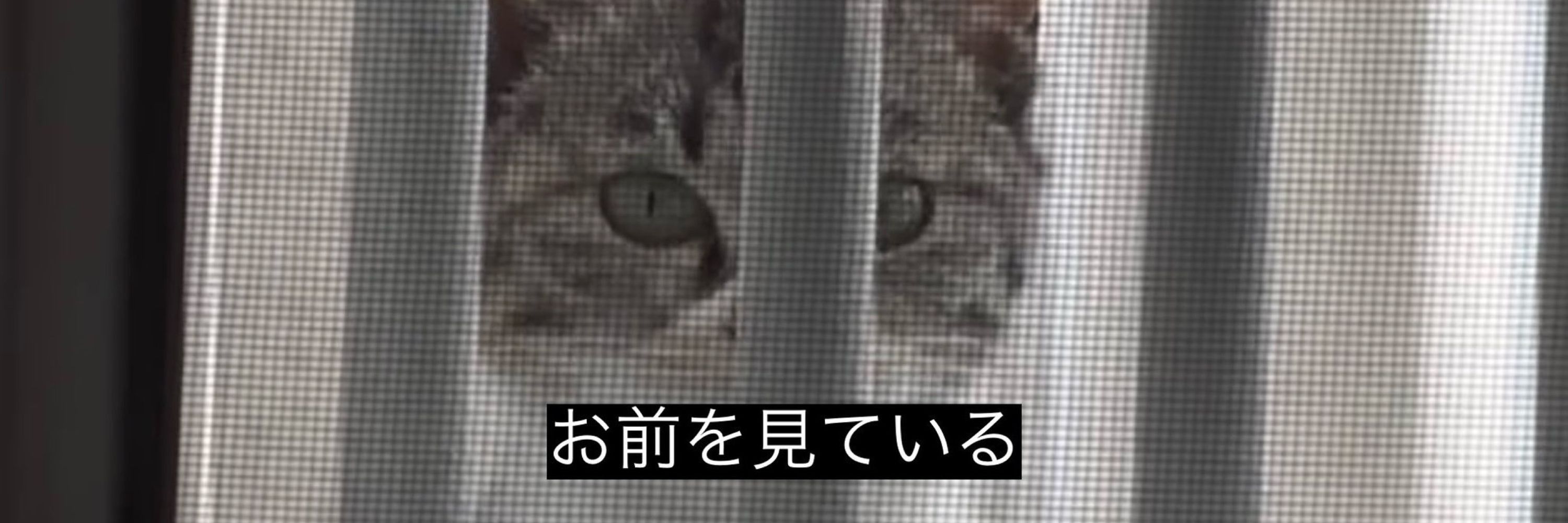 考え中…💭