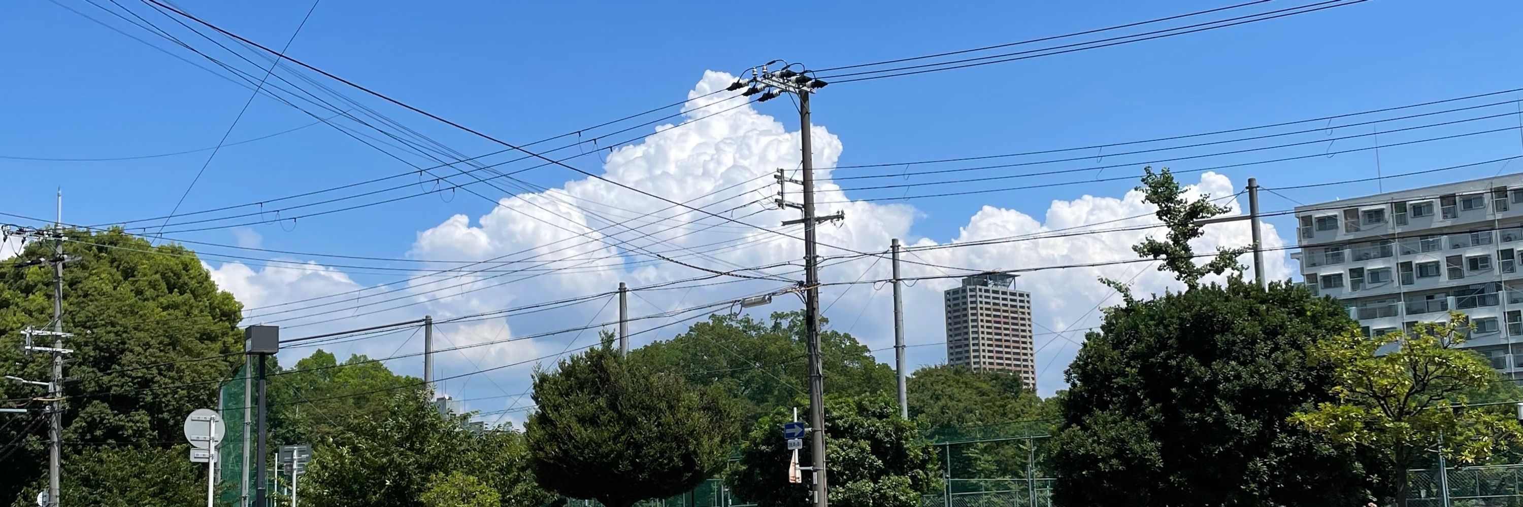 ぼうやだったよ